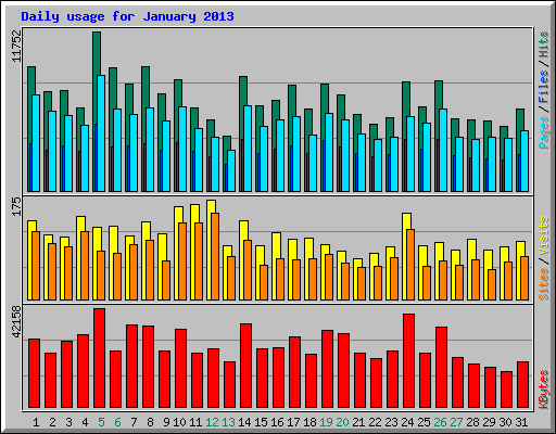 Daily usage for January 2013
