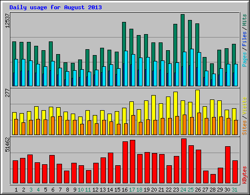 Daily usage for August 2013