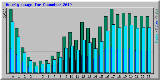 Hourly usage for December 2012