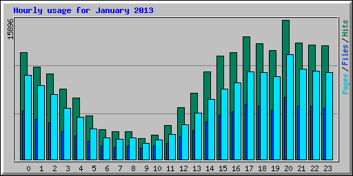 Hourly usage for January 2013