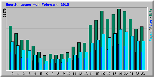 Hourly usage for February 2013