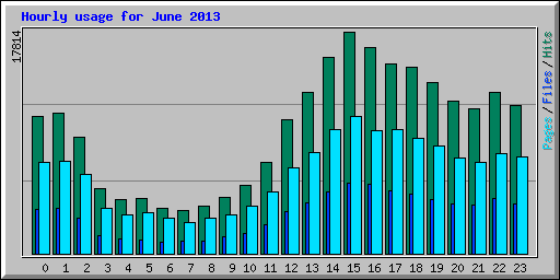 Hourly usage for June 2013