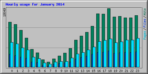 Hourly usage for January 2014